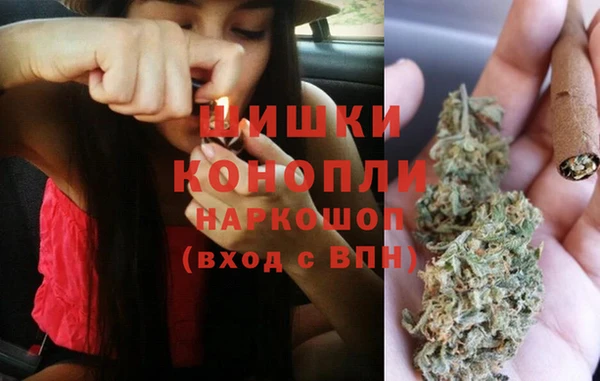 винт Арсеньев