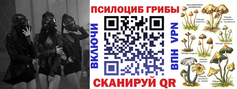 ОМГ ОМГ ссылки  Луга  Галлюциногенные грибы Cubensis 